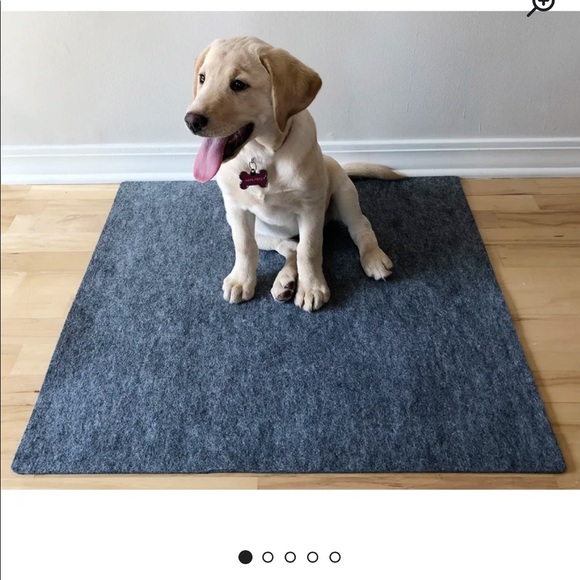 Puppy Training pad NWOT